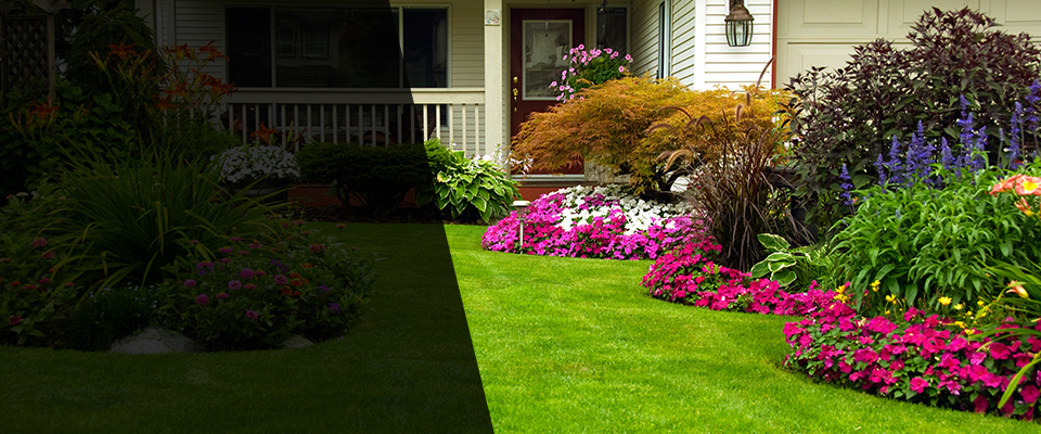 Fort Mitchell Landscapers