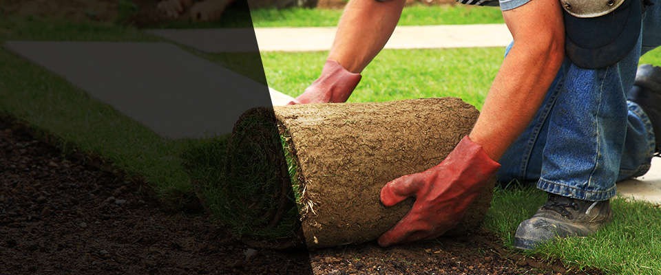 Fort Mitchell Landscapers